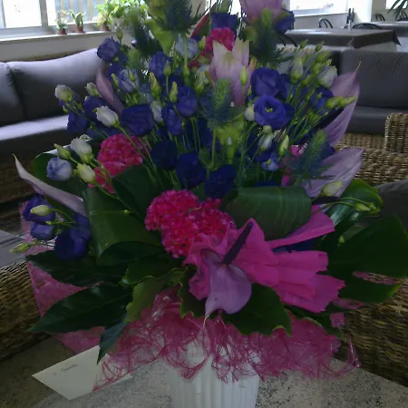 Baia Terminus Κατόλικα